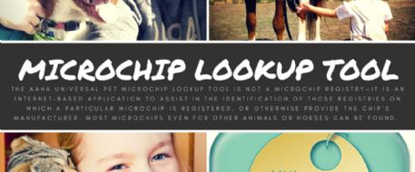 Equine Microchip Lookup and Pet Microchip LookUp Tool