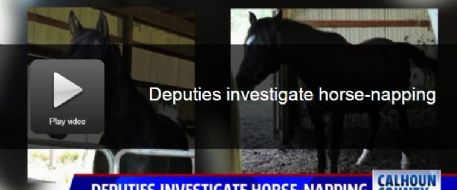 FOX NEWS 17: Albion horse owner in shock after 2 horses were stolen