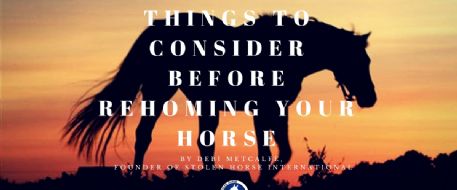 Things to Consider Before Rehoming Your Horse