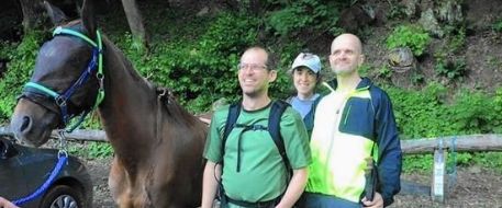 Horse missing near Howard-Carroll line found and returned to owner