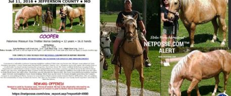 Cooper Is Missing From His Pasture In Jefferson County, MO - Press Release