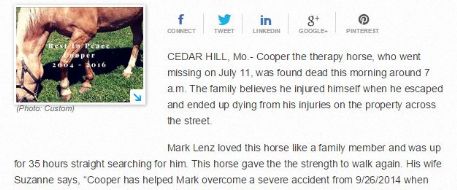 Missing Therapy Horse Found Dead