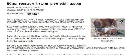 NC man reunited with stolen horses sold in auction