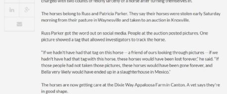 Haywood County couple reunited with stolen horses; social media leads to their safe return