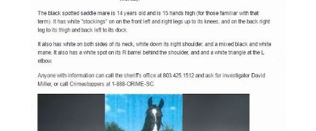 Someone Stole a Horse in Kershaw County