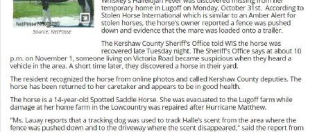 Horse reported stolen from Lugoff found in yard