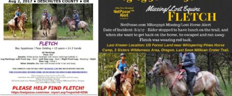 Missing/Lost Equine - Fletch Is Fully Tacked - Oregon