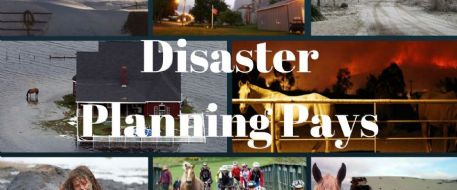 Disaster Planning Pays