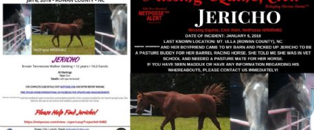 Rowan County Woman Victim In Alledged Horse Thief's Scheme