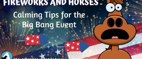 Horses and Firework Safety Tips