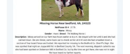 Search for Bedford, VA Missing Horse Missy Ongoing