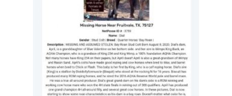 NetPosse Alert for 10 Horse Missing From Fruitvale, TX Assumed Stolen 