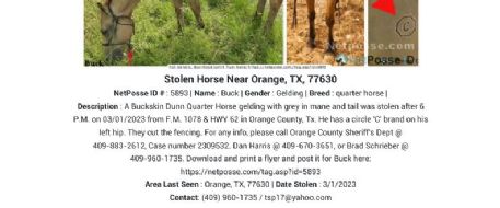 NETPOSSE PRESS RELEASE:Horse Stolen from Orange, TX, Needs Your Help