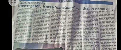 Broken Bow Horse Abuse Case Heats up in the McCurtain County Gazette
