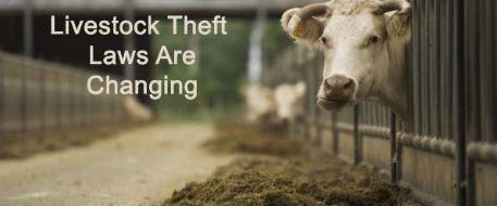 Livestock Theft Laws Are Changing