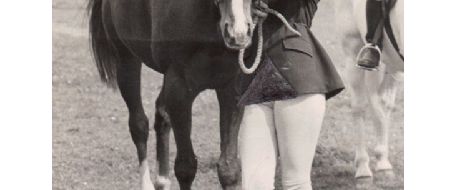 BALLYMOSS, My Stolen Horse - the True Experience and Ordeal of a Loving Owner 