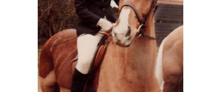 Continued - BALLYMOSS, My Stolen Horse - the True Experience and Ordeal of a Loving Owner 