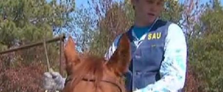 UPDATE: Stolen Trailer Located; No Sign of Horses