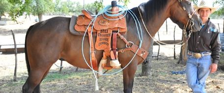Teen's trophy saddle stolen off of horse at Frontier Days Rodeo