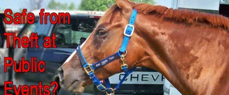 Troopers Search For Stolen Trailer Containing 15 Horses From Quarter Horse Congress
