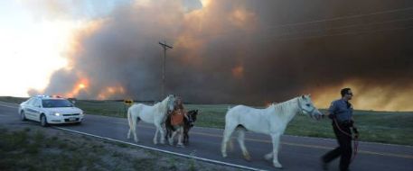 Colorado Fire Victims Central - Lost and Found