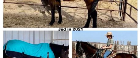 It took 10 years but Jed's coming home!