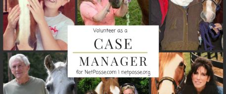 NetPosse Case Manager Program Fundraiser