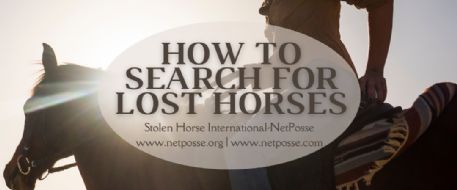 Tips on how to search for lost horses