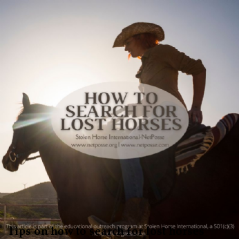 Tips on how to search for lost horses