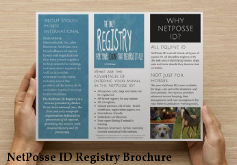 NetPosse ID Registry Brochure