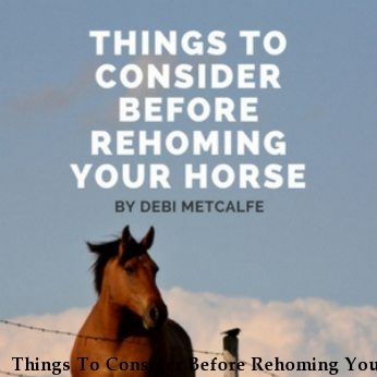 Things To Consider Before Rehoming Your Horse