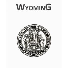 2015 Official Wyoming Brand Book