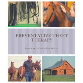 Preventative Theft Therapy Booklet