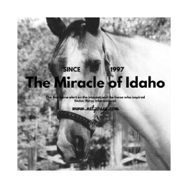 The Miracle Of Idaho