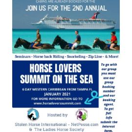 2021 Horse Lovers Summit On The Sea Flyer