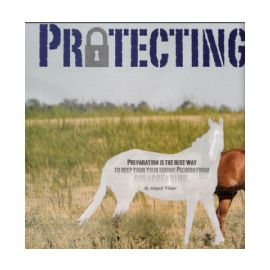 Keeping Your Paint Horse Safe (Paint Horse Journal)