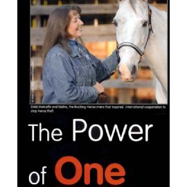 The Power of One Horse (Gaited Horse Magazine Article)