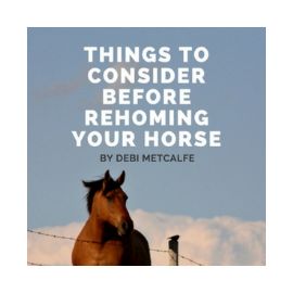 Things To Consider Before Rehoming Your Horse