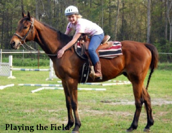 Playing the Field 