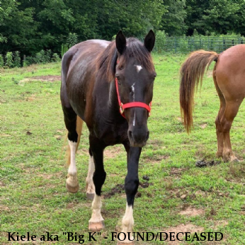 Kiele aka "Big K" - FOUND/DECEASED