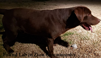 Found Lab in Zion Coummuntiy