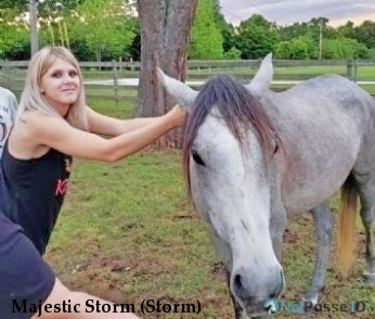 Majestic Storm (Storm)