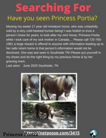 Princess Portia