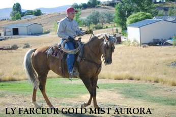 LY FARCEUR GOLD MIST AURORA