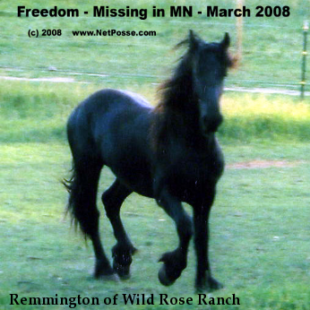 Remmington of Wild Rose Ranch