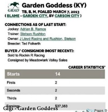 Gigi - Garden Goddess