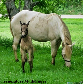 Generators Mudslinger