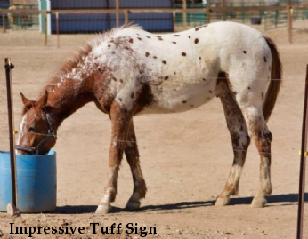 Impressive Tuff Sign