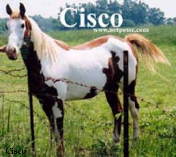 Cisco