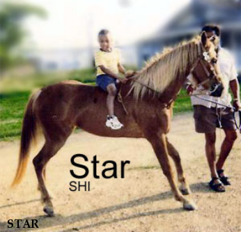 STAR